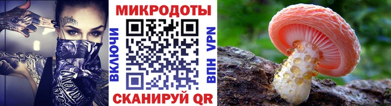 Галлюциногенные грибы MAGIC MUSHROOMS  купить закладку  Зея 